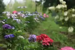 阿久津「田村神社」（郡山市阿久津町）旧社名：伊豆箱根三嶋三社の庭園