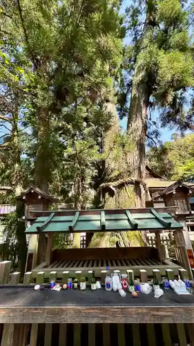 大神神社(奈良県)