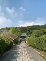 八幡大神(千葉県)