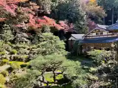 吸湖山　青岸寺の庭園