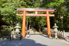 吉田神社の鳥居