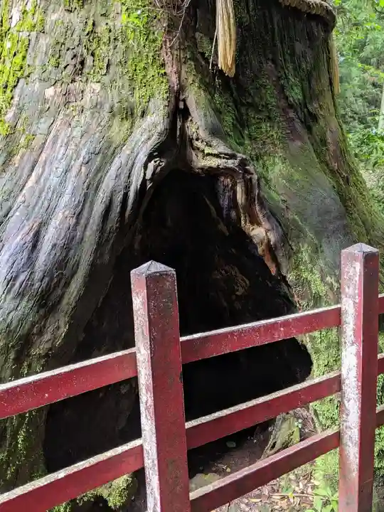 箱根神社(神奈川県)