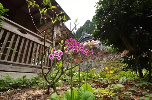 横峰寺(愛媛県)