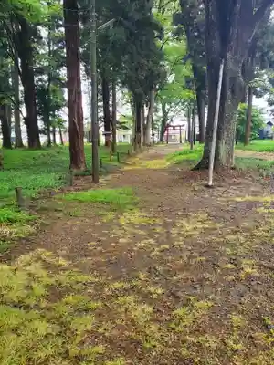 笹森稲荷神社(群馬県)