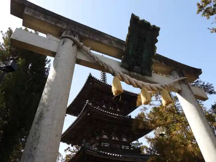 春日若宮神社(奈良県)
