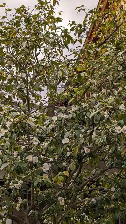 建仁寺(建仁禅寺)(京都府)