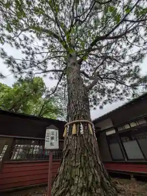 前原御嶽神社(千葉県)