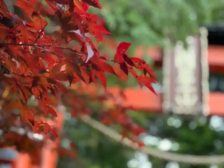 新倉富士浅間神社の自然