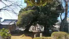 九重神社(埼玉県)