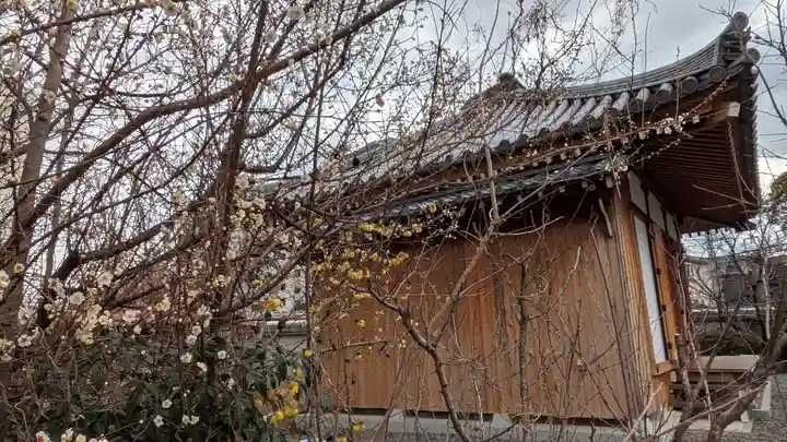 蓮花寺(大阪府)
