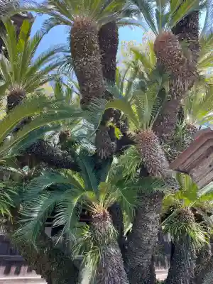 赤穂八幡宮(兵庫県)
