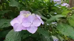 磯山神社の自然