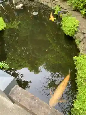 天祖諏訪神社(東京都)