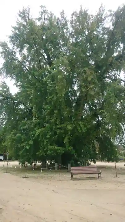 吉備津神社(広島県)