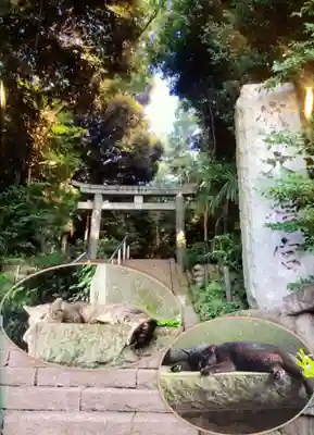 代々木八幡宮(東京都)