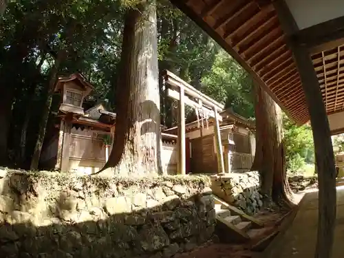 劔主神社の鳥居