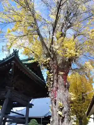 長慶寺(福井県)