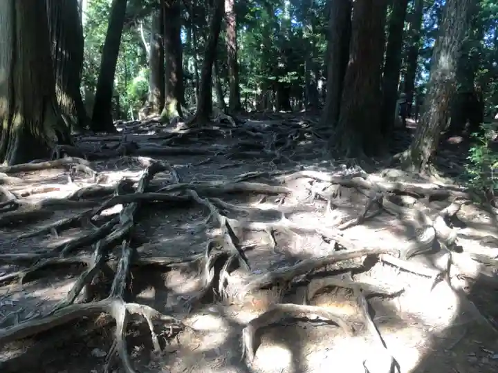 鞍馬寺(京都府)