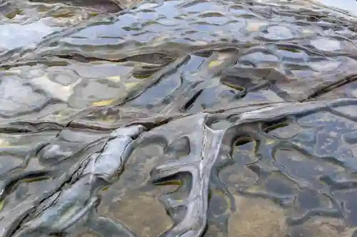 青島神社（青島神宮）(宮崎県)