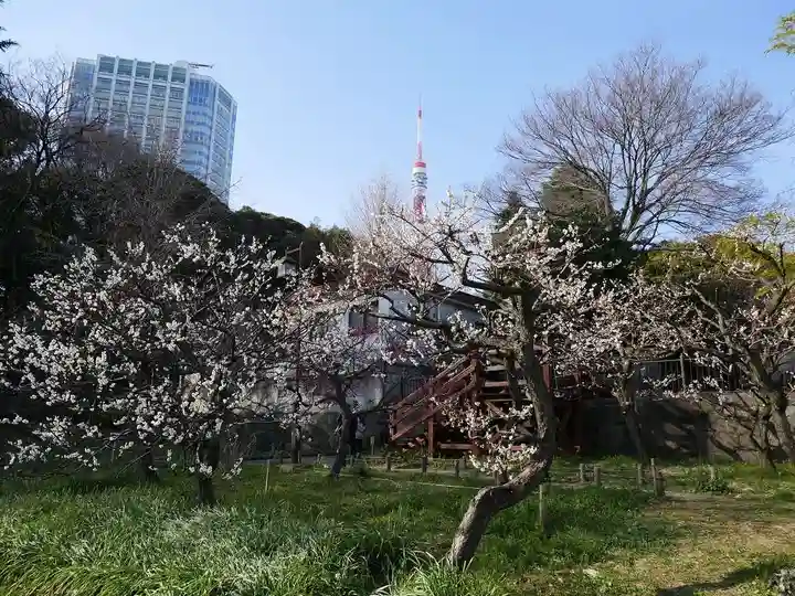 芝東照宮の自然