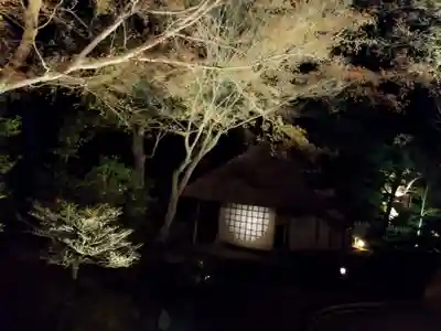 高台寺（高台寿聖禅寺・高臺寺）(京都府)