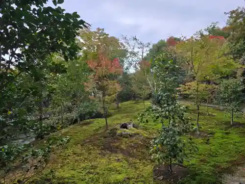 霊鑑寺門跡(京都府)