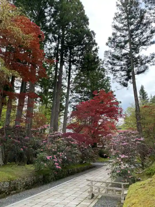 高野山霊寳館(和歌山県)