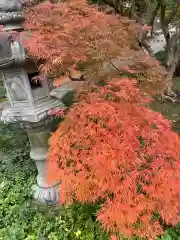 天台宗　長窪山　正覚寺の庭園