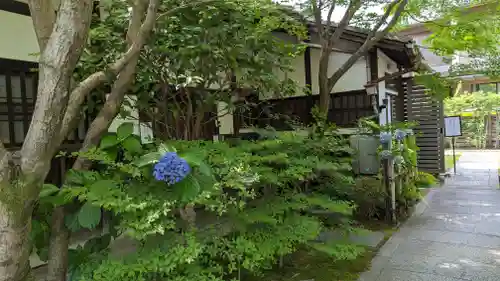 天得院のその他建物