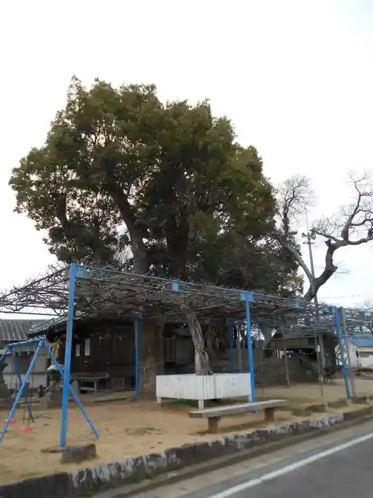 梅田菅原神社の自然