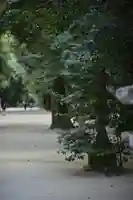 奥宮(鹿島神宮摂社)(茨城県)