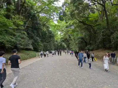明治神宮(東京都)
