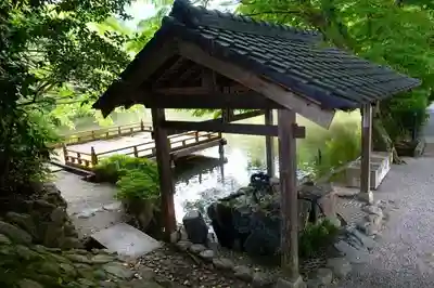 高鴨神社の手水舎
