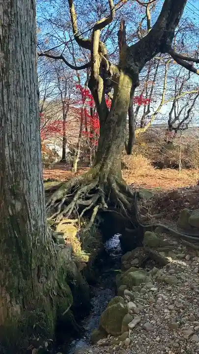宝積山光前寺(長野県)