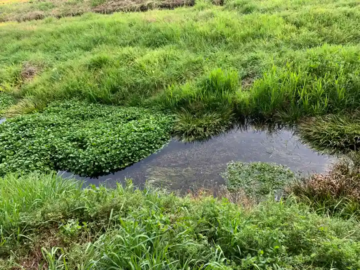 大杉神社 加茂神社(栃木県)
