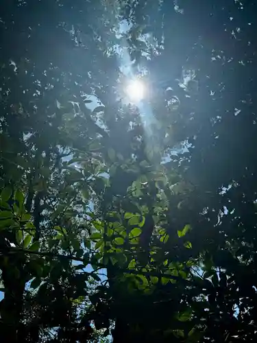 鹿児島神宮(鹿児島県)