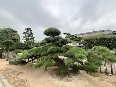 大聖観音寺（あびこ観音）(大阪府)
