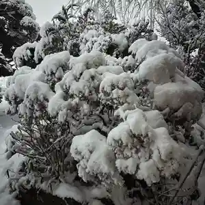 豊景神社(福島県)(2024年02月06日(火) 09時04分04秒投稿)