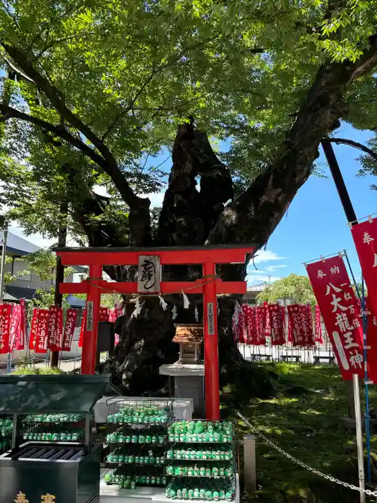 秩父今宮神社(埼玉県)