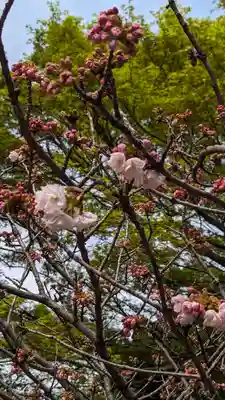 大報恩寺（千本釈迦堂）(京都府)