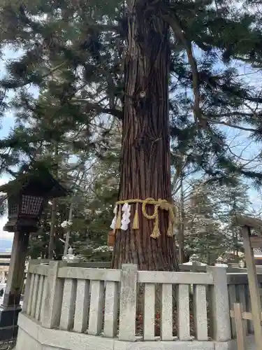 諏訪大社下社秋宮(長野県)