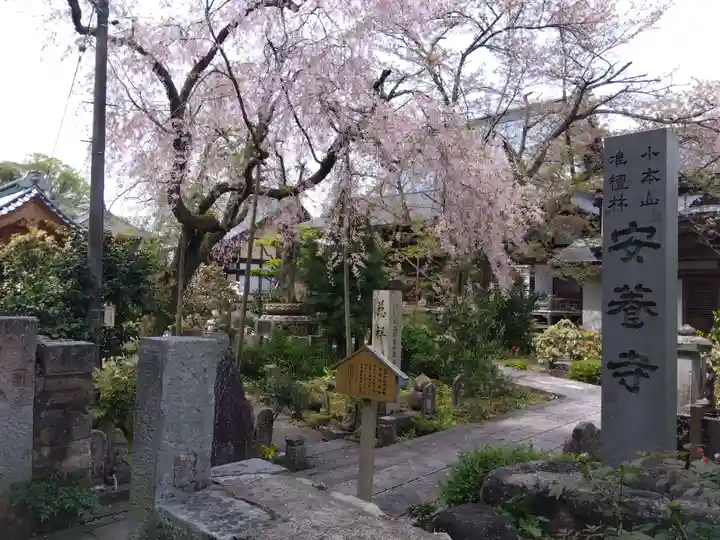安養寺(福井県)