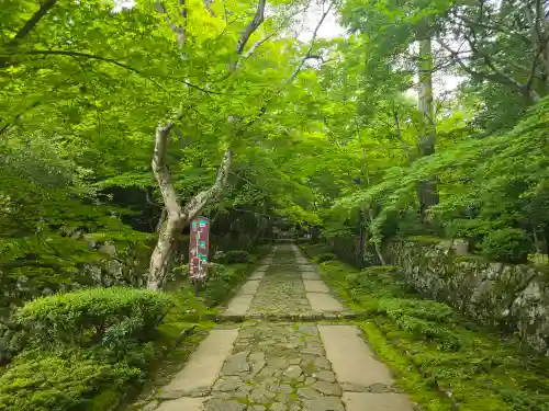 金剛輪寺(滋賀県)
