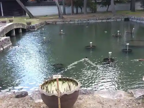 普廣院（普広院）(京都府)