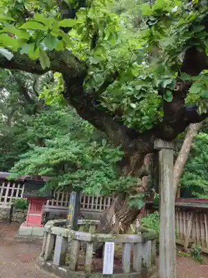 宗像大社(福岡県)