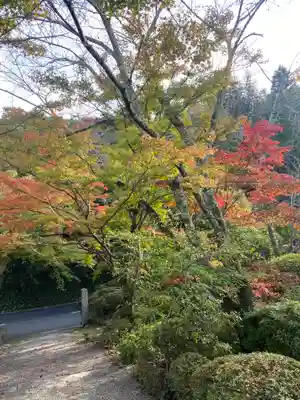 西恩寺(大阪府)