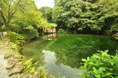 富士山本宮浅間大社(静岡県)