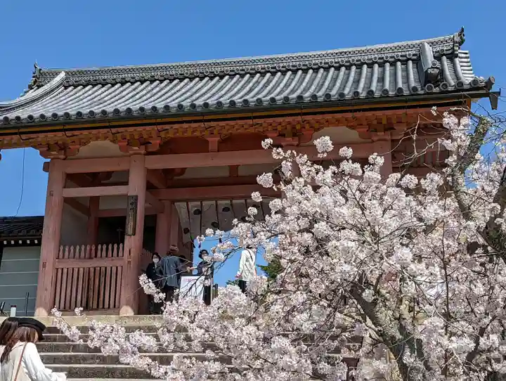 仁和寺(京都府)