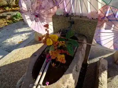 水堂須佐男神社(兵庫県)