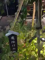 行田八幡神社の自然